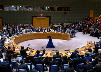 The United Nations Security Council Adopts New Resolution Calling Immediate ceasefire