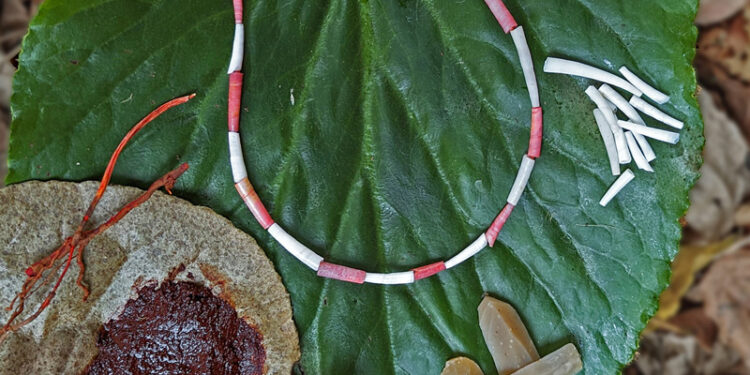 Organic Red Pigment Usage Likely Began in Israel 15,000 years Ago