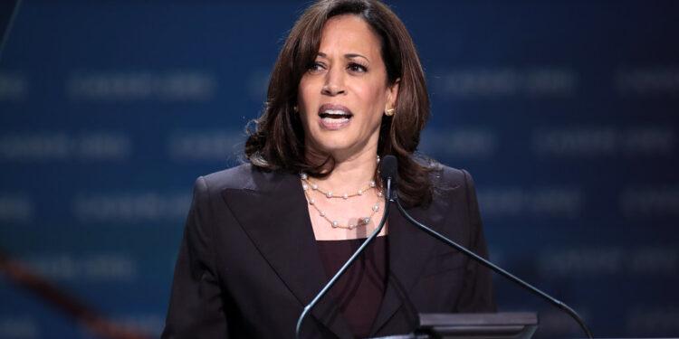 Jewish Voters Favor Harris Over Trump: Exit Polls Reveal 79% Support for Democrats