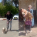 From Gaza to Home: Dog Kidnapped on October 7 Reunited with Owner