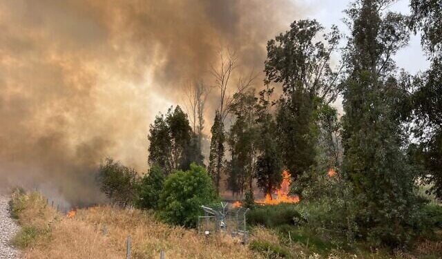 Inferno in the Hills: Wildfires Force Evacuations and Paralyze Central Israel