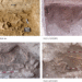 Donkeys From Egypt Found Buried in Israel in Bronze Age Ritual Site