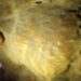 Unique 1,900-year-old inscription uncovered in Dead Sea cave